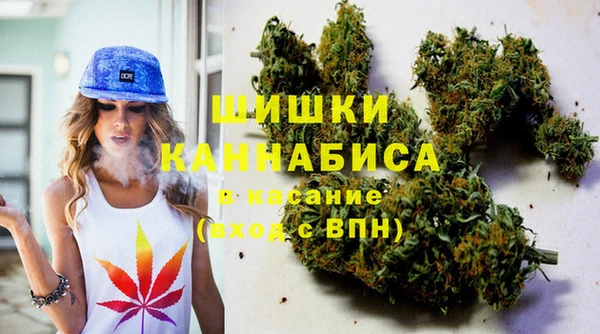 СК Сосновый Бор