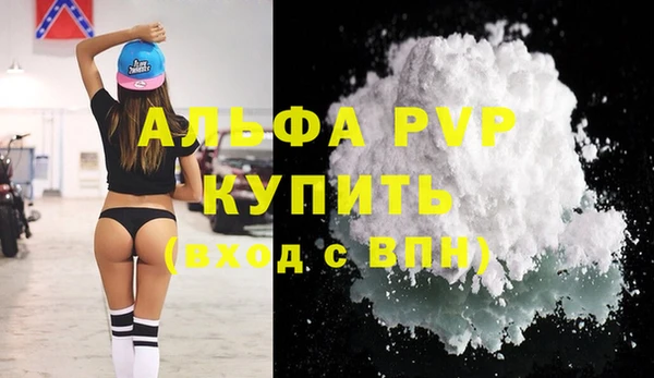 СК Сосновый Бор