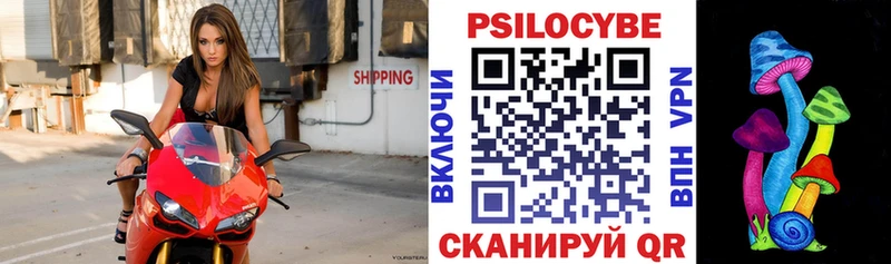 площадка какой сайт  Приволжский  Галлюциногенные грибы Psilocybine cubensis  гидра ссылка 